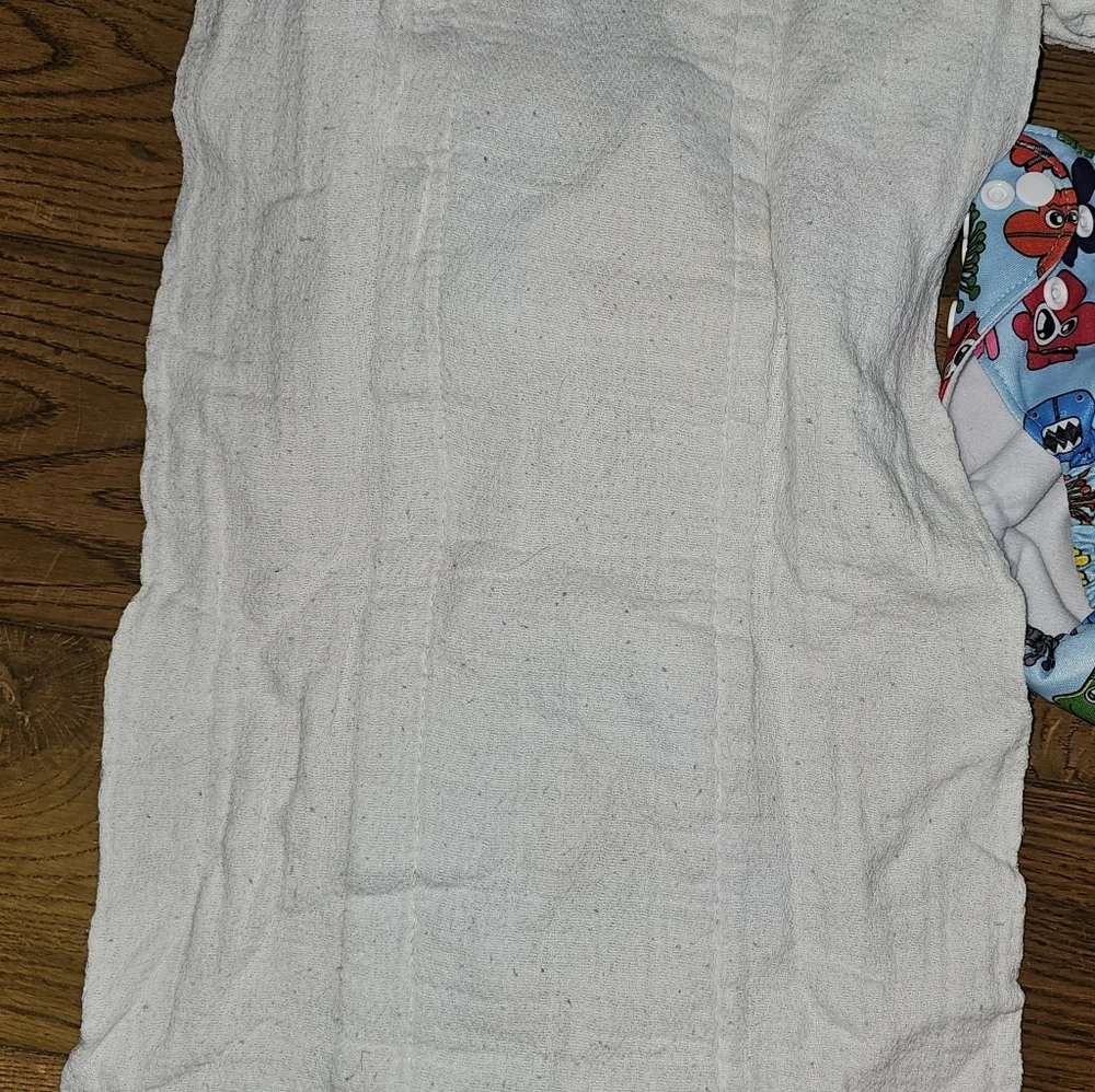 3 LBB Cloth Diaper Covers & 6 Inserts